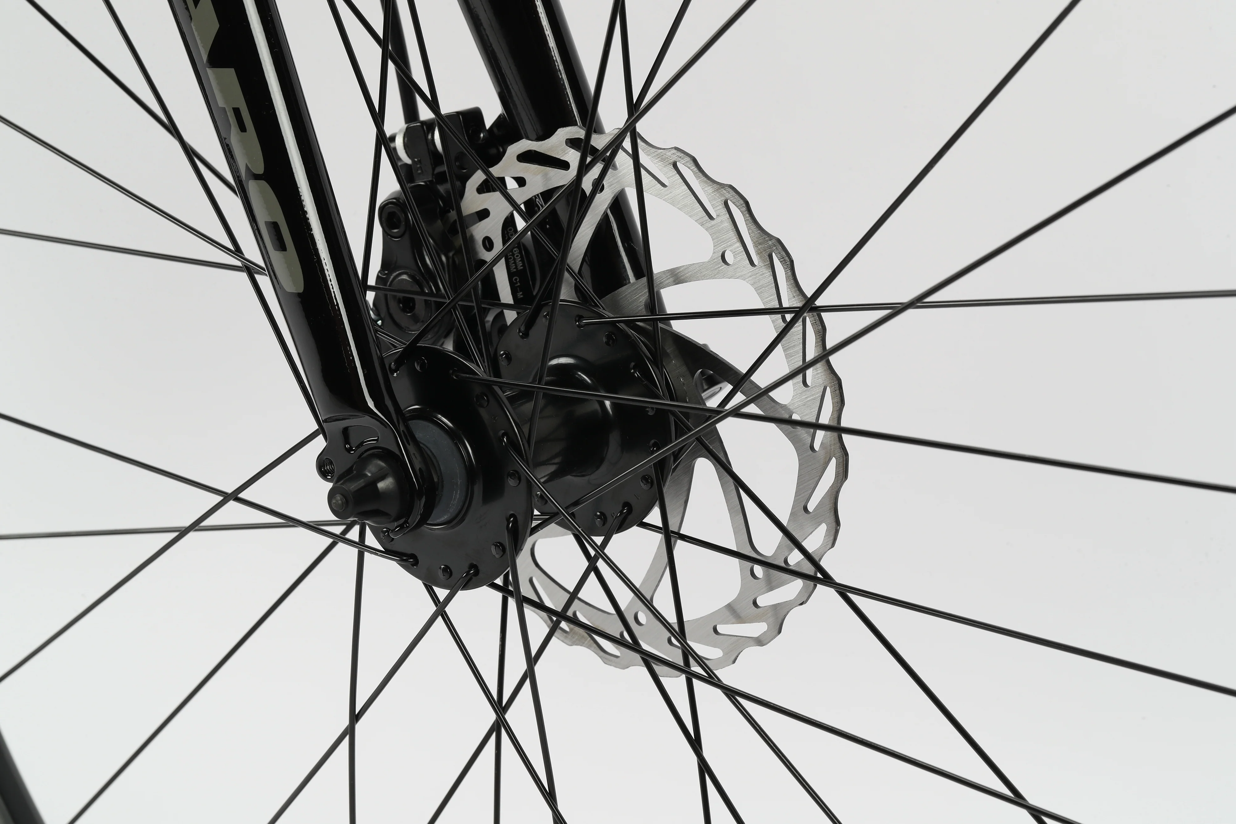 Beasley 27.5 - Image 5